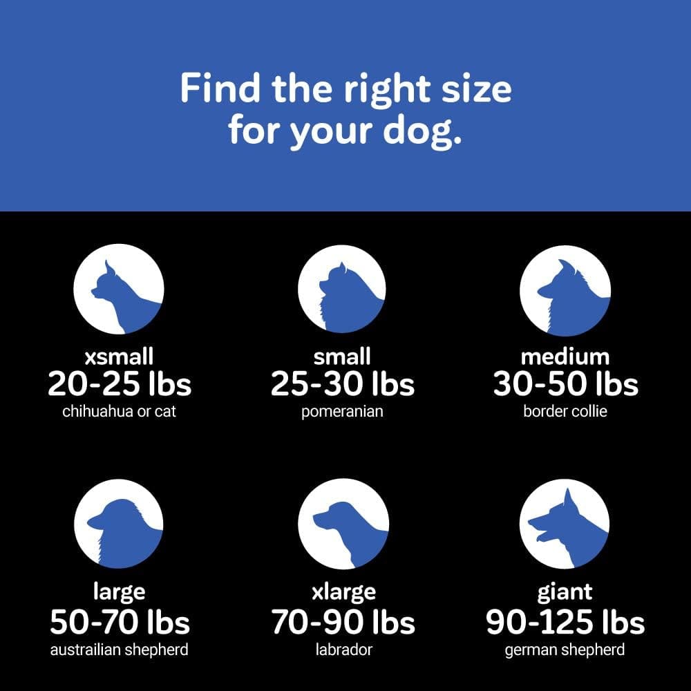 Self-Warming Dog Beds