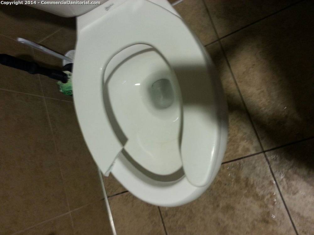 Fix broken toilet seat