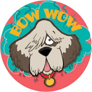 Wet Dog