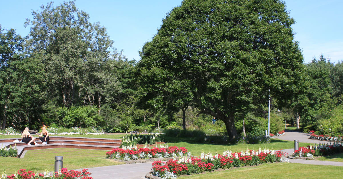 Unwind in Grasagarður Reykjavík Botanical Gardens | Top 5 Under-the ...