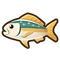 Yellowtail