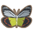 Scarlett Jezebel Butterfly