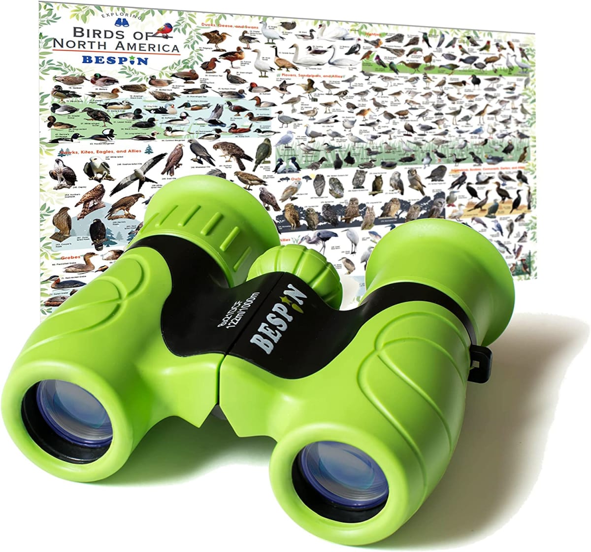Binoculars for Kids (Adopted by Nature School) 8x21 Bird Watching, High-Resolution Real Optics for Wildlife Watching with Reversible Bird Map - GR -