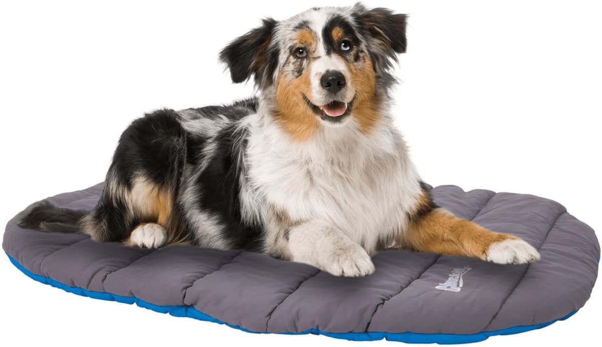 Travel Dog Beds