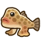 Polka-dot Batfish