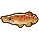 Gator Gar