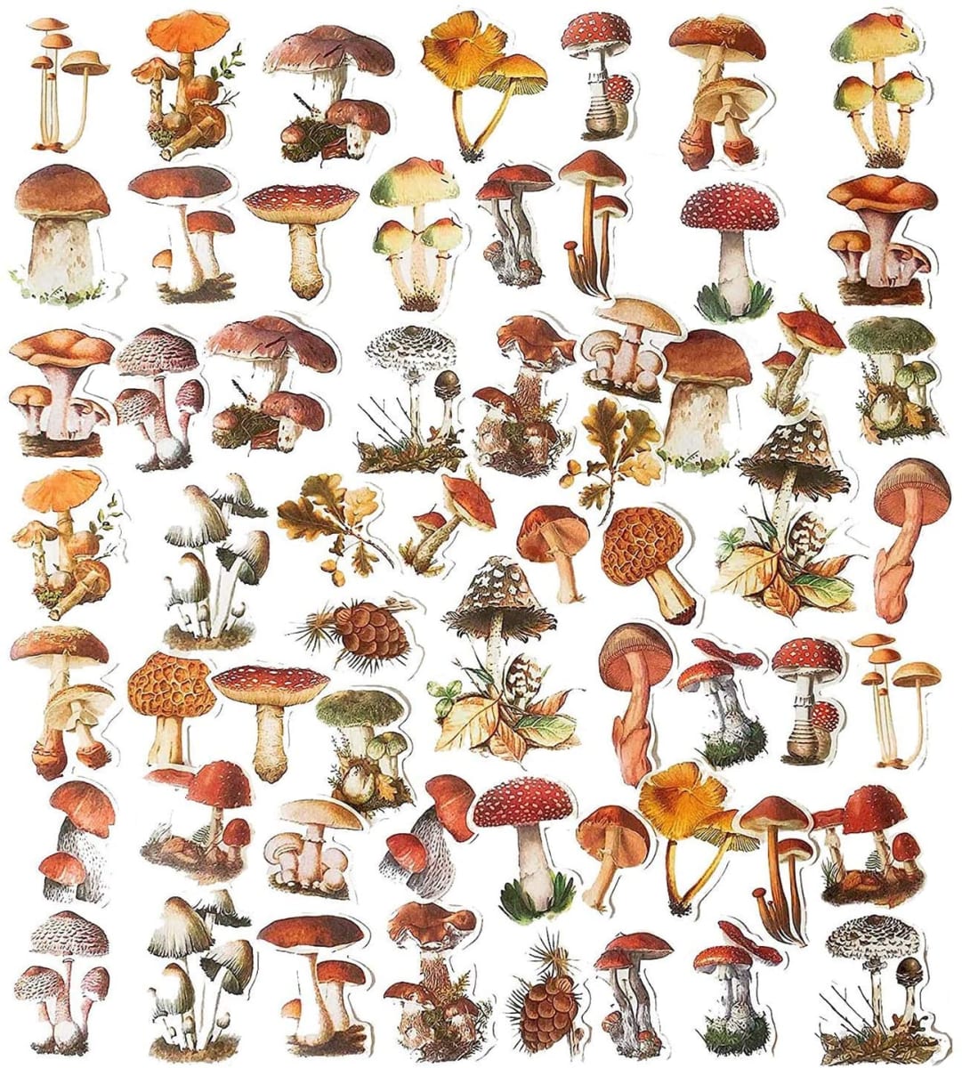 Vintage style mushroom wash stickers
