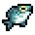 Bluefish