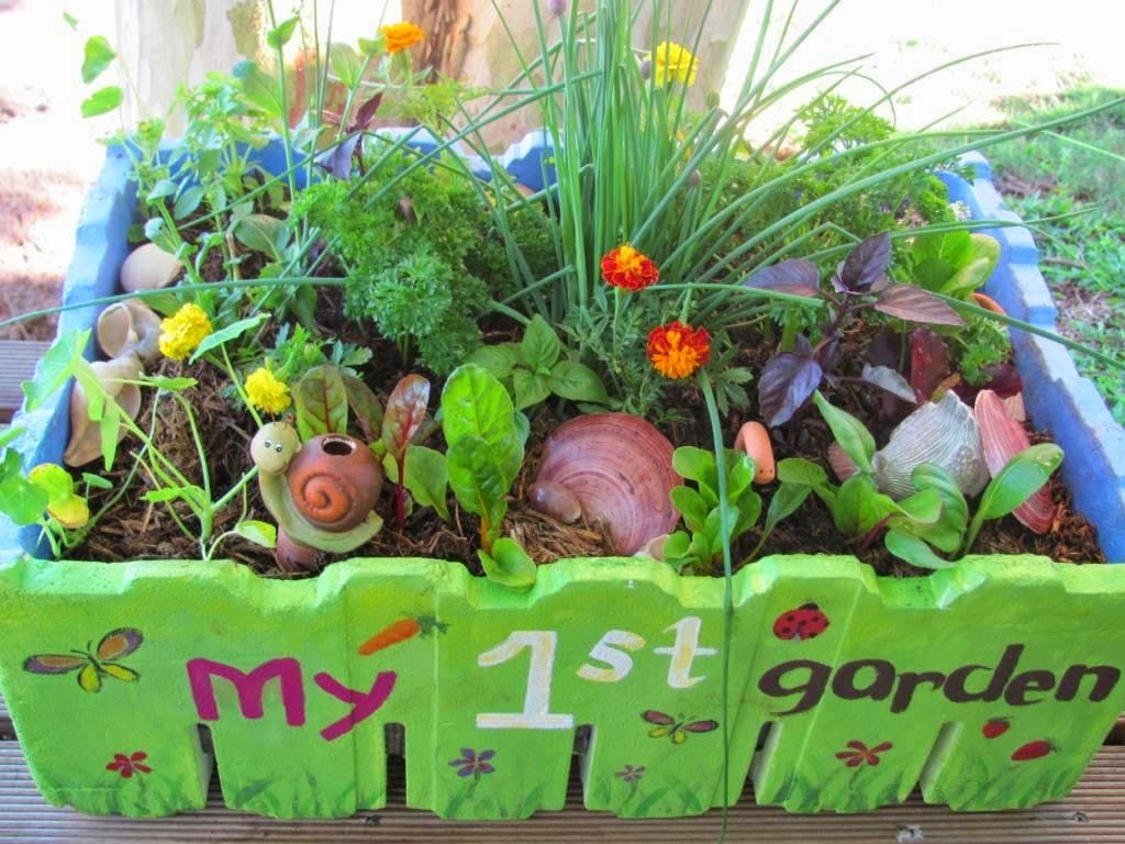 Create a mini garden eaooea
