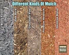 Aged Pine Bark Mulch