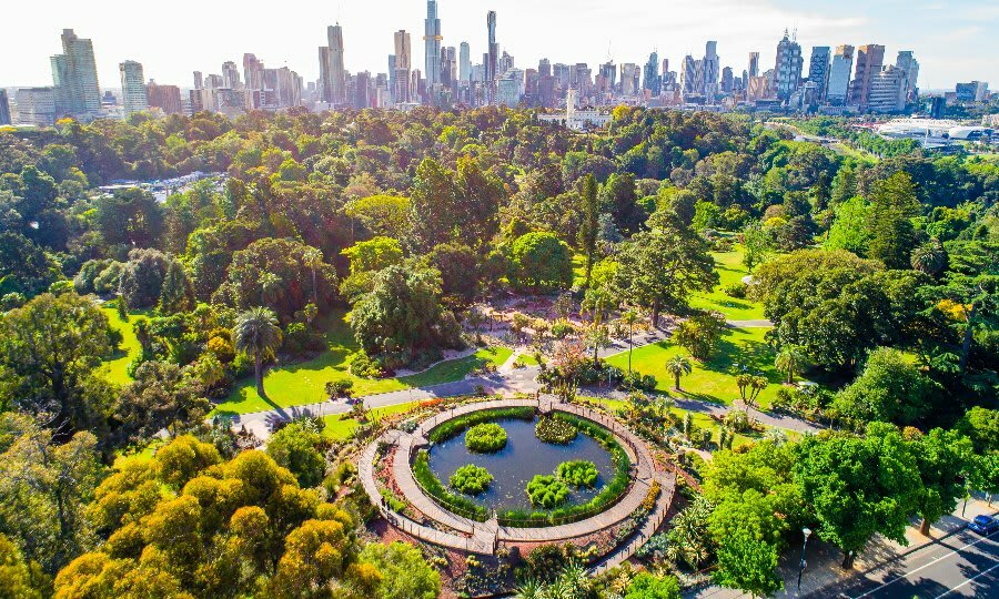 Visit the Melbourne Botanical Garden