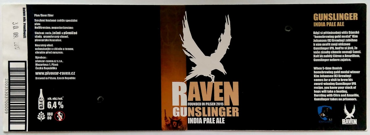 Raven Gunslinger