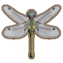 Duskhawker Dragonfly