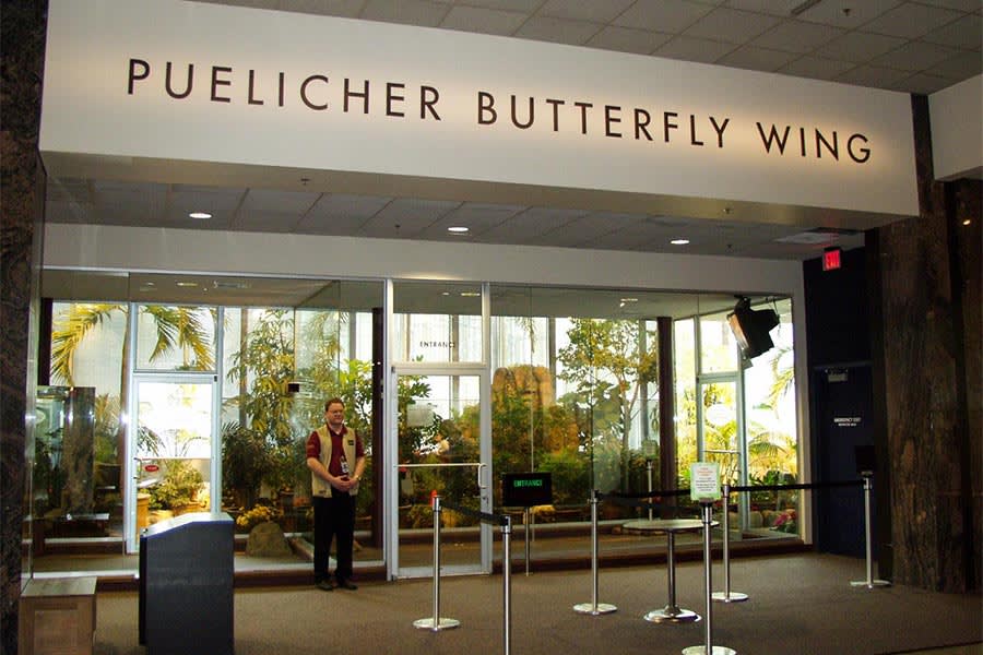 Puelicher Butterfly Wing (Milwaukee Public Museum)