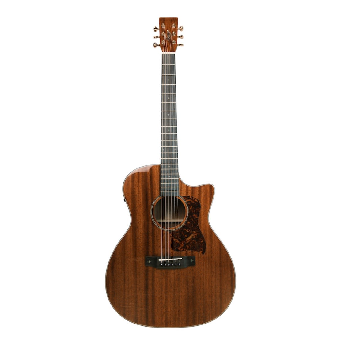 Hudson HF 88 CE Semi Acoustic Guitar