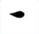 Guppy