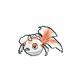 Goldeen