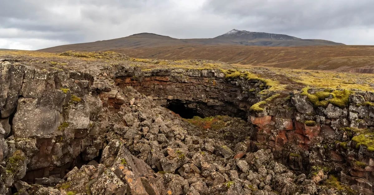 Víðgelmir