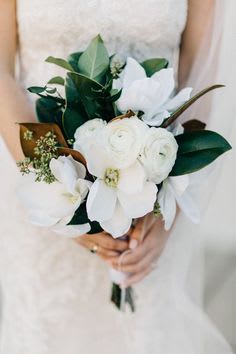 - Magnolia