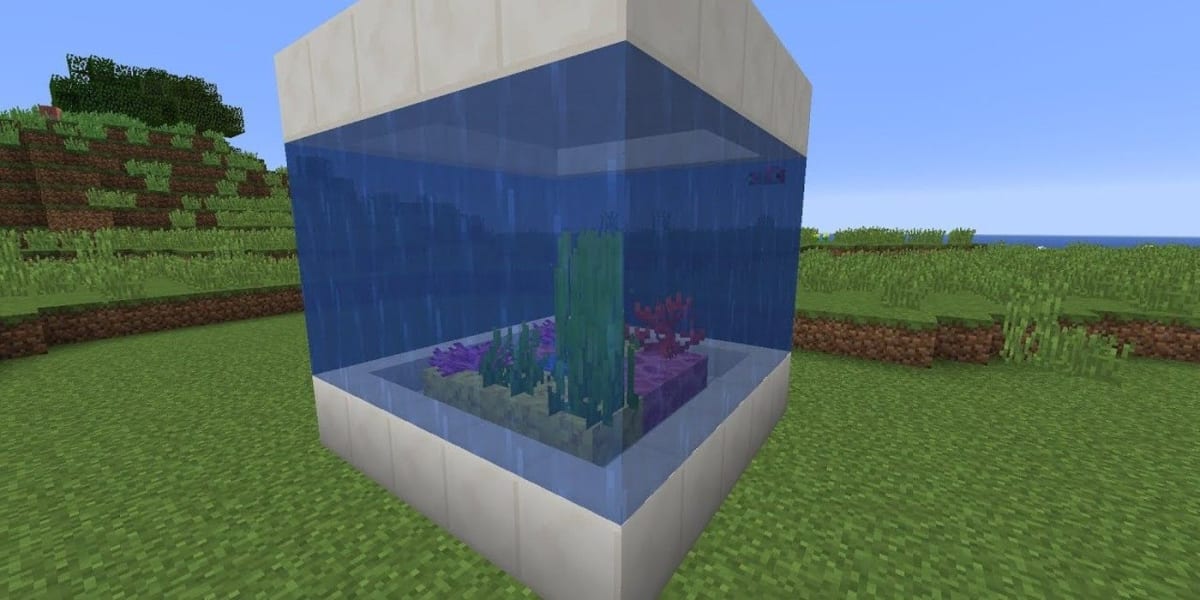 Make an Aquarium
