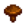 Common Mushroom
