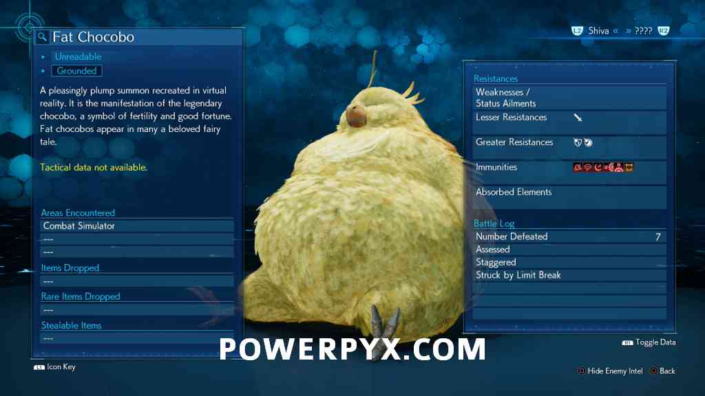 Fat Chocobo