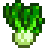 Bok Choy