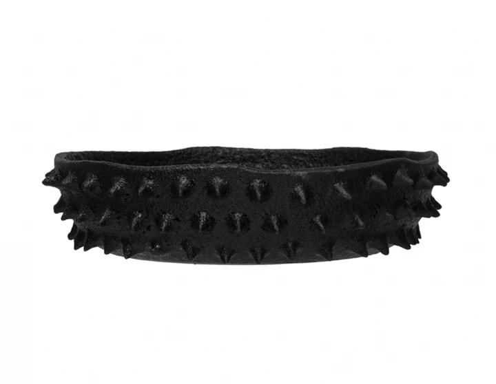 Spiked Bowl
