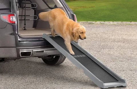 Traffic Safety Systems - pet ramp