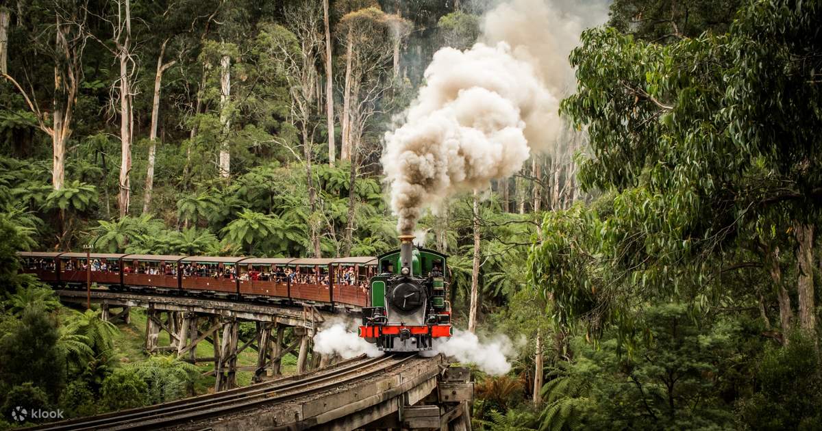 Take a scenic train ride on the Puffing Billy Railway