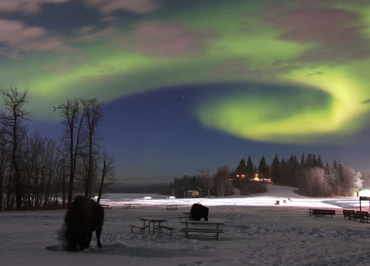 Elk Island National Park