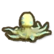 blue-ringed octopus