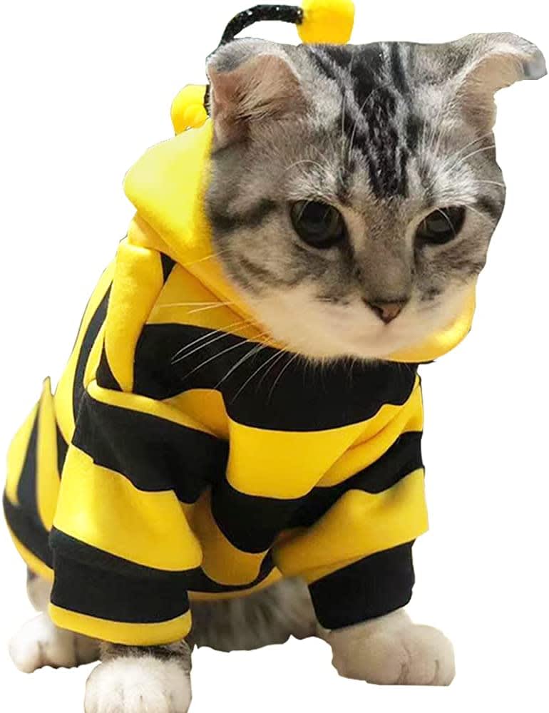 Pet Bee Halloween Costume