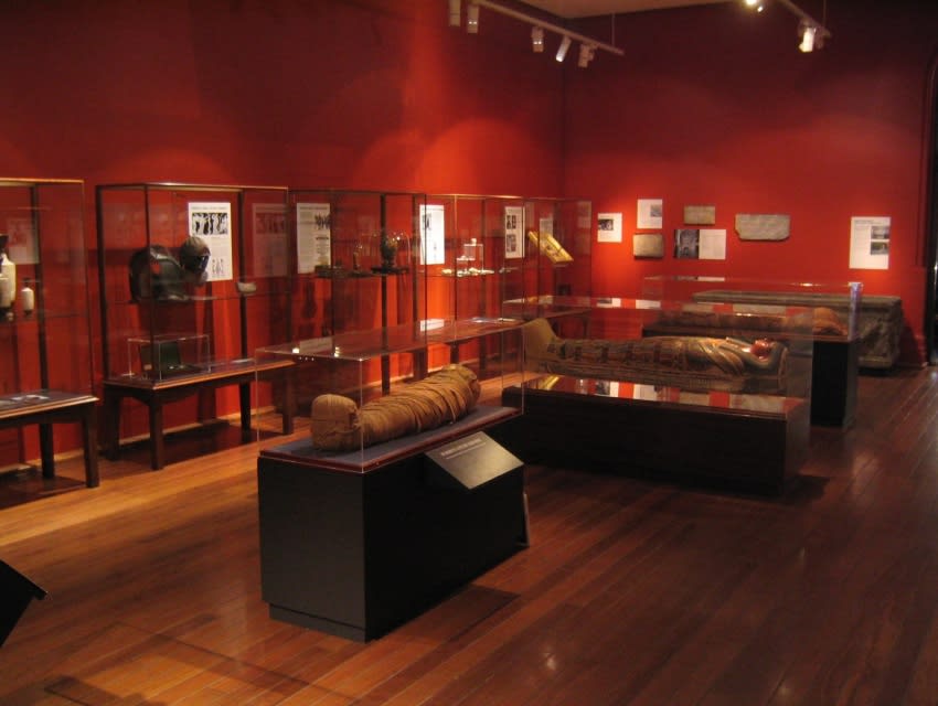 Check out the exhibits at the Nicholson Museum, which features a collection of ancient art and artifacts.