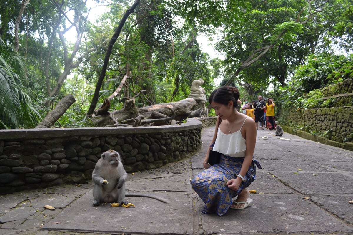 Sacred Monkey Forest Sanctuary Ubud