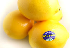 Your beautiful baby is the size of a Meyer lemon this week—and his vocal cords are beginning to develop.
