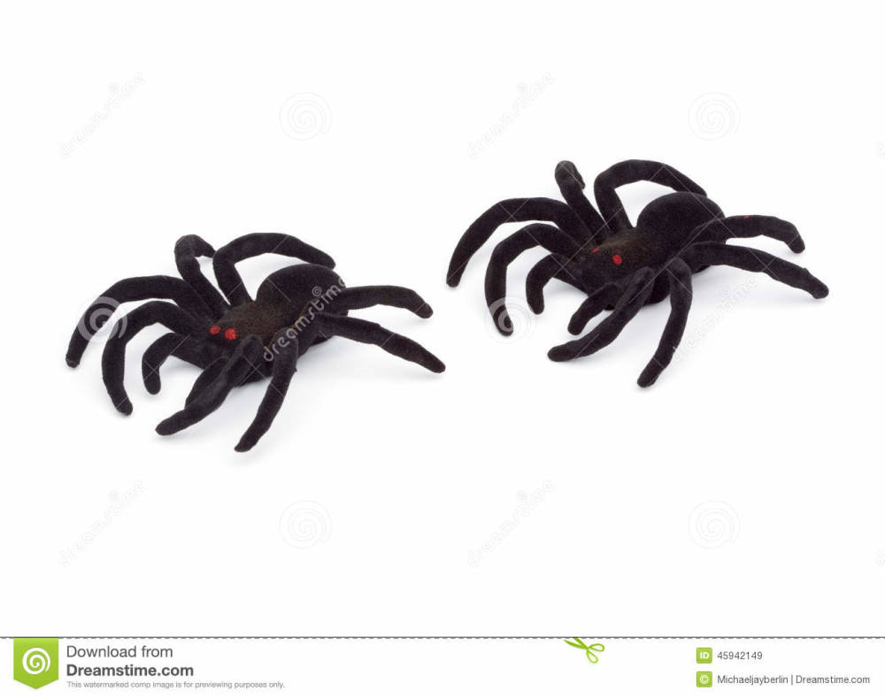 Toy Spiders