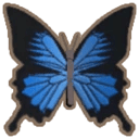 Ulysses Butterfly