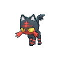 Litten