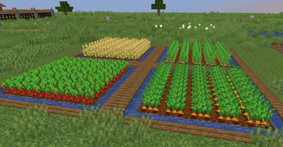 Make a Crop Farm