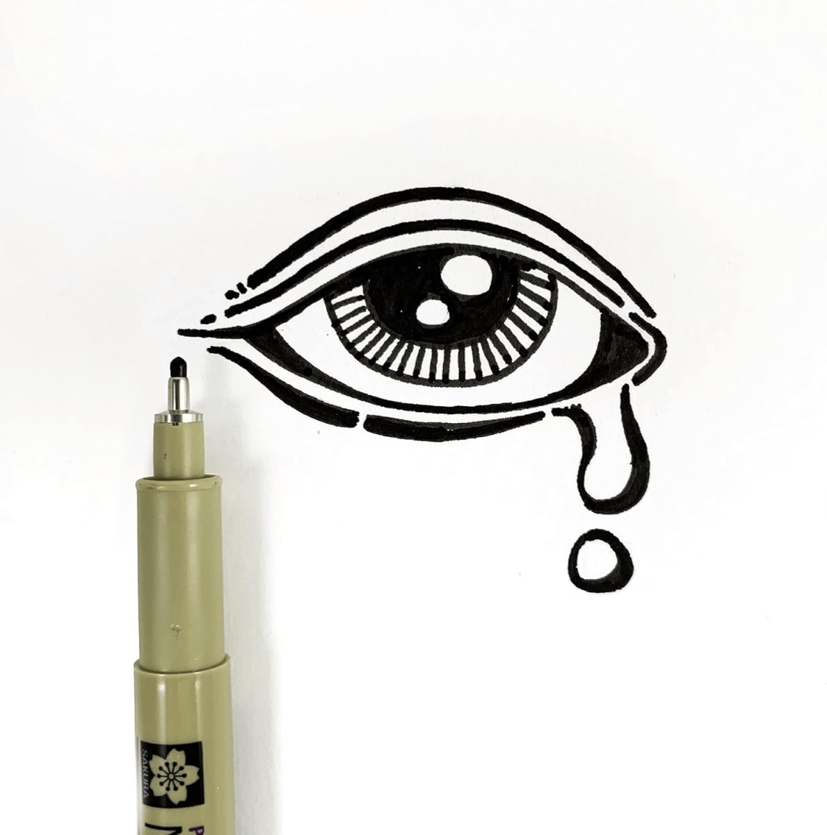 Sakura Pigma Micron Fineliner Pens