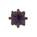 Purple Sea Urchin