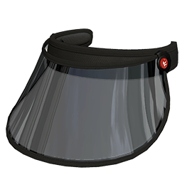 Face Visor
