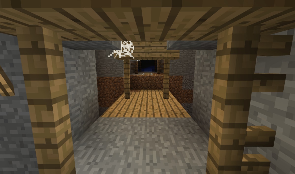 Explore an Abandoned Mineshaft