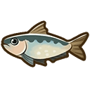 Sardine (Silver)