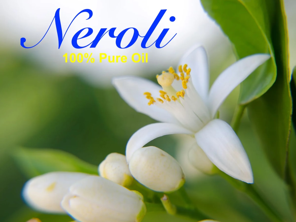 Neroli Essential Oil