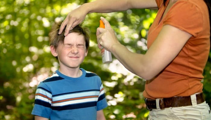 Insect repellent