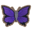 Purple Azure Butterfly