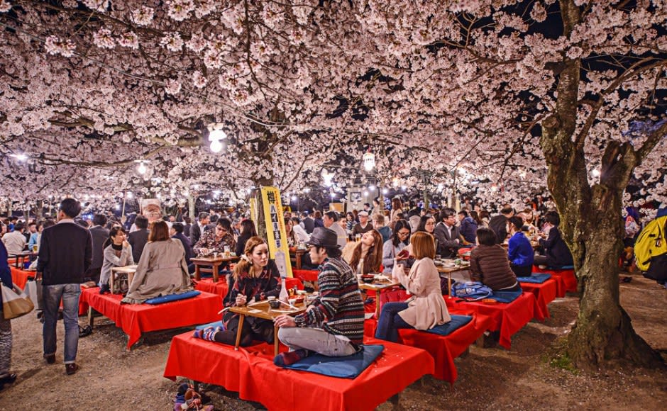 Top 10 Cherry Blossom Sights in Japan