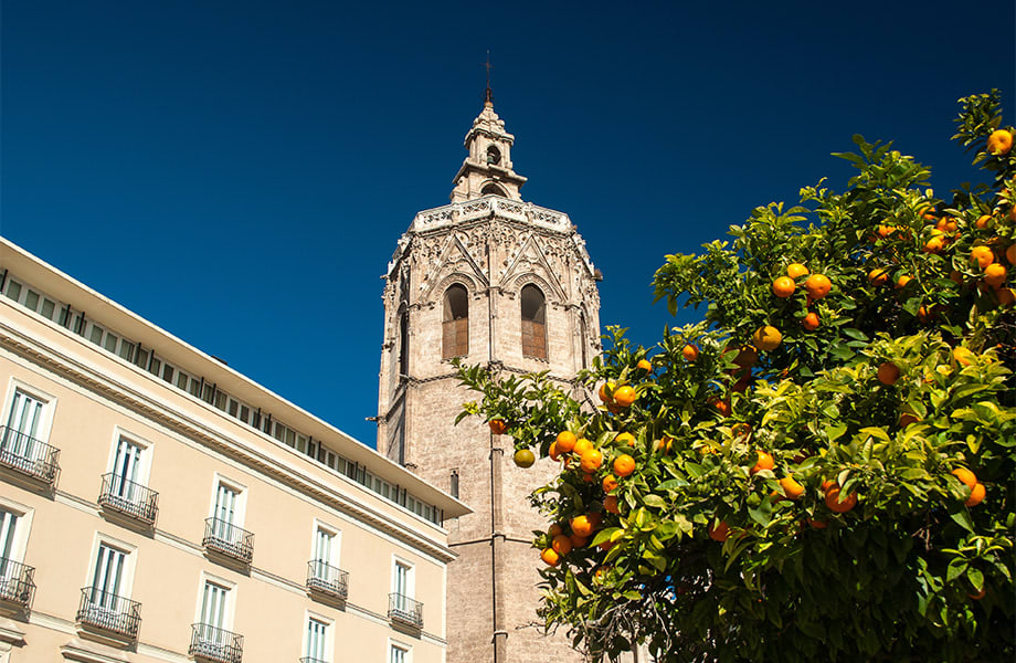 Valencia Cathedral / El Miguelete